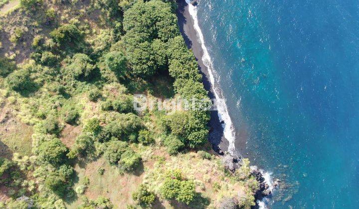  TANAH OCEAN VIEW TULAMBEN KARANG ASAM 1