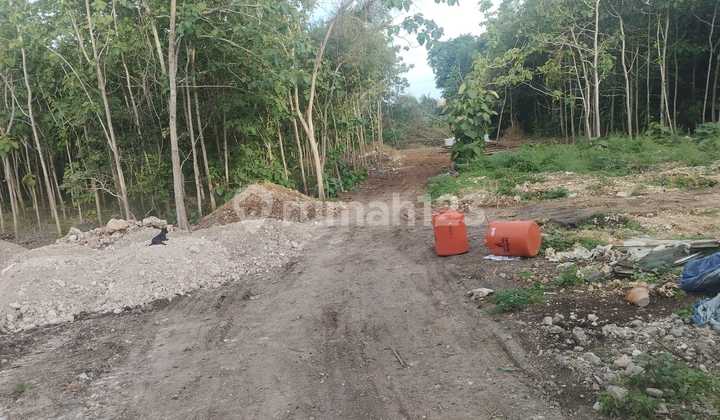 Great Investment Opportunity Land In Kutuh
