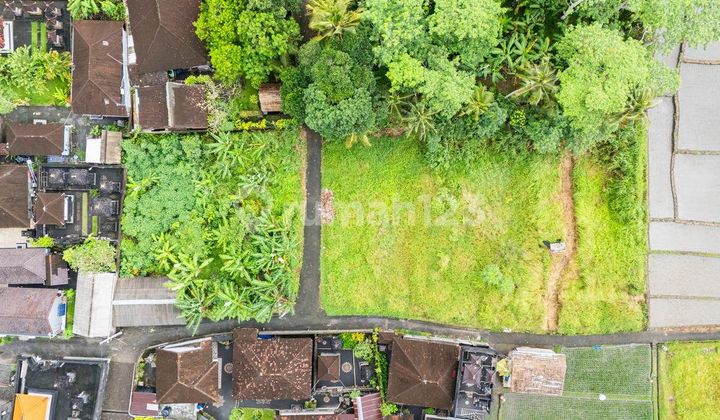 Leasehold Prime Land Location Kediri Tabanan