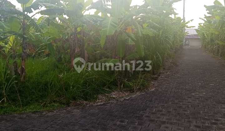 5-Year Leasehold on Strategic Land in Peguyangan