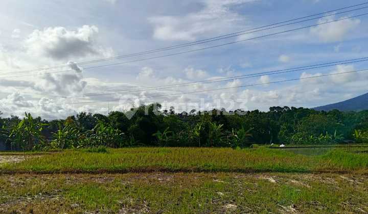 Land with Natural View in Penebel Tabanan