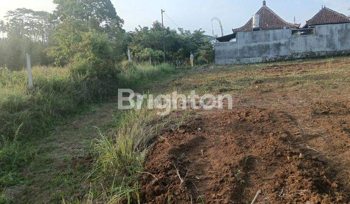 PRIME LAND FOR SALE  PERFECT FOR INVESTMENT AT BURUAN GIANYAR 2