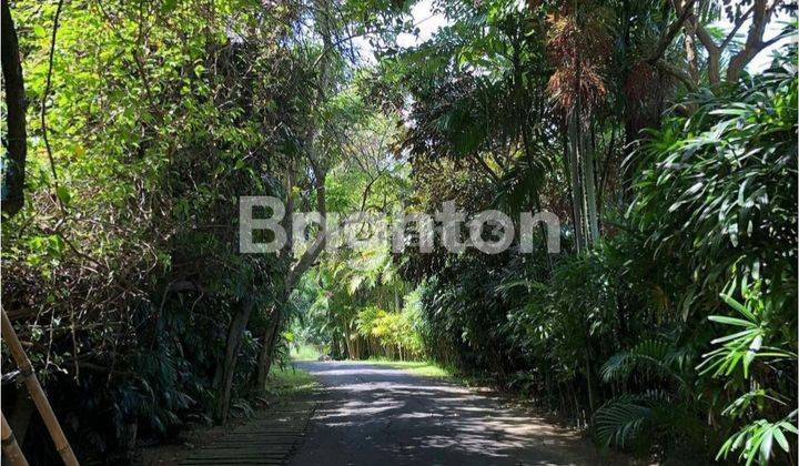 ON SALE EXCLUSIVE LAND BEACH FRONT IN CEMAGI