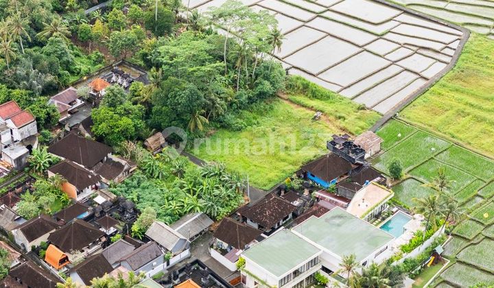 Leasehold Prime Land Location Kediri Tabanan