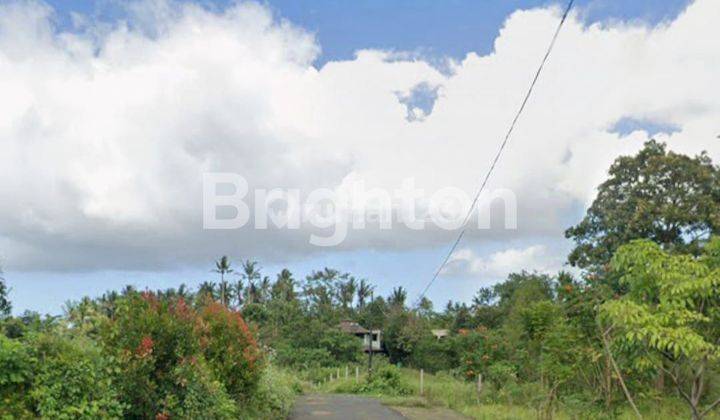 PRIME LAND FOR SALE  PERFECT FOR INVESTMENT AT BURUAN GIANYAR 1