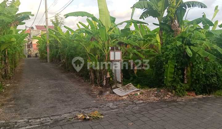 5-Year Leasehold on Strategic Land in Peguyangan