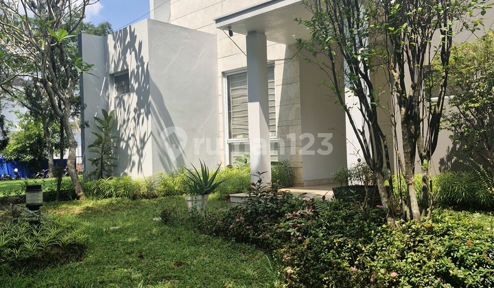 Rumah De Cajuputi De Park BSD Jalan Boulevard Renovasi Siap Huni Rumah De Cajuputi De Park BSD Jalan Boulevard Renovasi Siap Huni