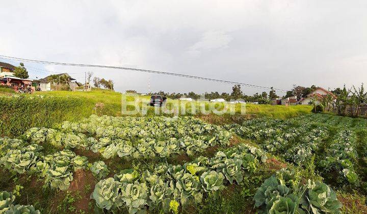 TANAH RESIDENTIAL DENGAN VIEW KOTA CIMAHI 2