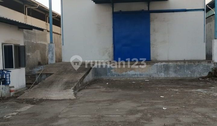 Disewakan Gudang Kamal Muara 1650 M Siap Pakai Cakep Terawat  Rapi Ada Kantor