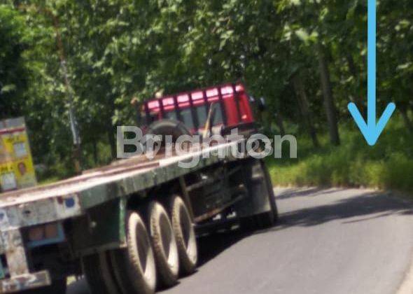 TANAH DAWAR BLANDONG KEDAMAIAN DEKAT PINTU TOLL 1