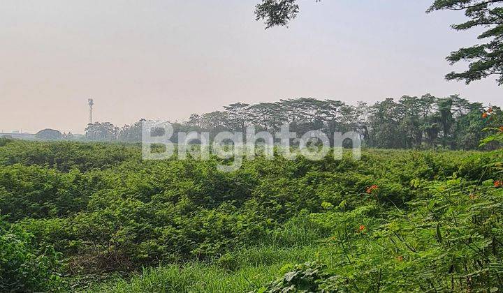 Tanah Murah Harapan Indah Cakung Bekasi dibawah NJOP