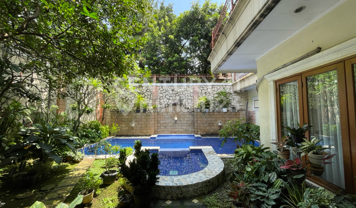 Lingkungan Nyaman Rumah Mewah Dengan Kolam Renang Di Ampera Lingkungan Nyaman Rumah Mewah Dengan Kolam Renang Di Ampera