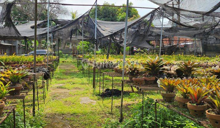 Investasi EMAS, Posisi Hoek, Dekat Al Azhar Bintaro 1