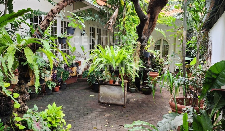 Turun Harga Di Bawah Harga NJOP, Area Komersial Di Jakarta Pusat.