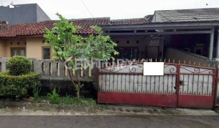 Rumah Alam Tirta Lestari Ciomas Bogor 1