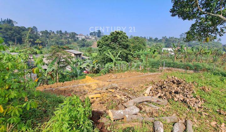 Tanah Strategis Dekat Wisata Cimory Di Jl Sirnarasa Cisarua Bogor 1