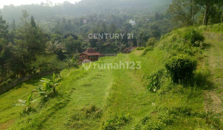 Kavling Sawah View Gunung Pangrango Di Kampung Ciesek Megamendung 2