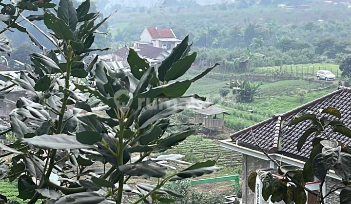 Land For Sale In Batu City Cuban Talun