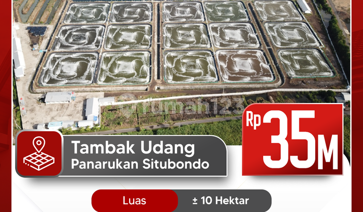 Active Shrimp Pond for Sale in Panarukan, Situbondo (Including Business)