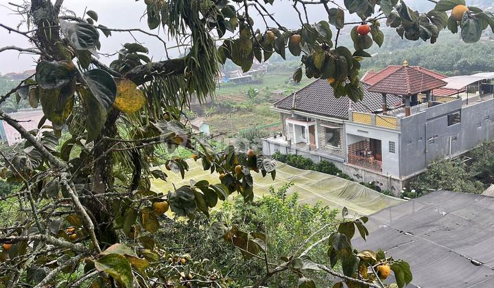 Land For Sale In Batu City Cuban Talun