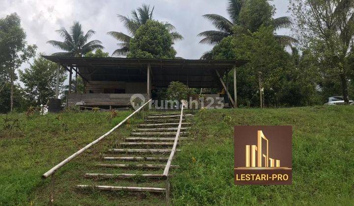 Di Jual Cepat dan Murah Lokasi Pariwisata, Pemandangan dan View Pantai dan Kota, Seputaran lokasi Terbang layang 2