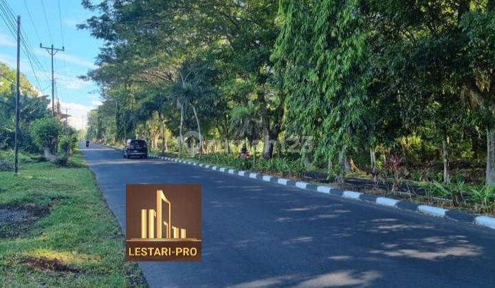 Di Jual Cepat Dan Murah, Tanah Jalan Sby, Luas Tanah 1,9 Ha, Siapa Cepat Dapat 2