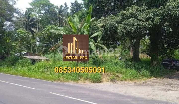 Di Jual Murah Lokasi Depan Jalan Baypas Manado Bitung Cocok Gudang Pabrik Dan Usaha/bisnis
