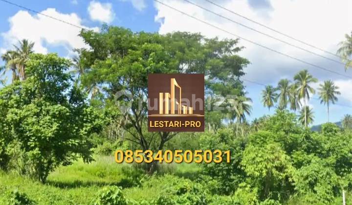 For Sale: 2 Hectares of Land on Ring Road 2, Ideal for Housing, Warehouses, and Business Locations For Sale: 2 Hectares of Land on Ring Road 2, Ideal for Housing, Warehouses, and Business Locations