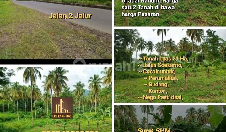 For Sale Cheap Land on Soekarno Street, Area 21 Hectares, Suitable for Housing, Warehouses, Offices For Sale Cheap Land on Soekarno Street, Area 21 Hectares, Suitable for Housing, Warehouses, Offices