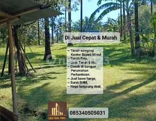 Land Next to Minut Regent's Office, 6 Hectares, Suitable for Housing Land Next to Minut Regent's Office, 6 Hectares, Suitable for Housing