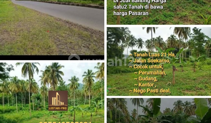 For Sale Cheap Land on Soekarno Street, Area 21 Hectares, Suitable for Housing, Warehouses, Offices For Sale Cheap Land on Soekarno Street, Area 21 Hectares, Suitable for Housing, Warehouses, Offices