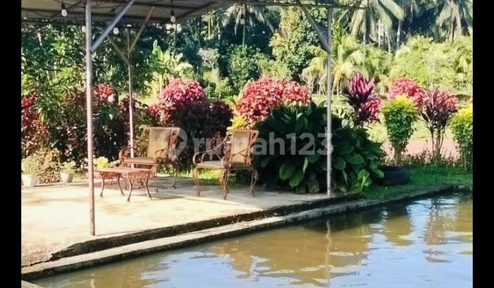 Comfortable & Cool House and 9 Plots of Minahasa North Wells in Talawaan, Area of 1 Hectare Comfortable & Cool House and 9 Plots of Minahasa North Wells in Talawaan, Area of 1 Hectare