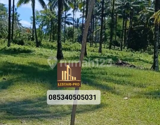 Land Next to Minut Regent's Office, 6 Hectares, Suitable for Housing Land Next to Minut Regent's Office, 6 Hectares, Suitable for Housing