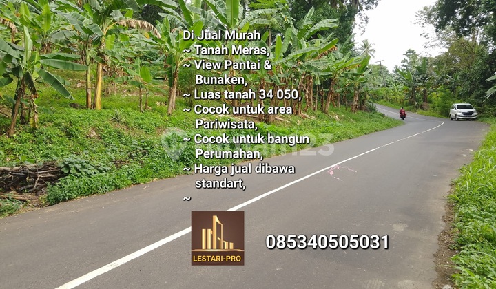 For Sale Cheap, Located in a Very Strategic Tourist Area, Below Market Price, SHM Certificate. For Sale Cheap, Located in a Very Strategic Tourist Area, Below Market Price, SHM Certificate.