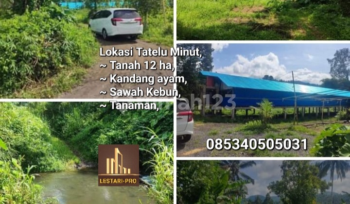 Dijual Murah Tanah Kebun Sawah Kandang Ayam Luas Tanah 12 Ha Tatelu