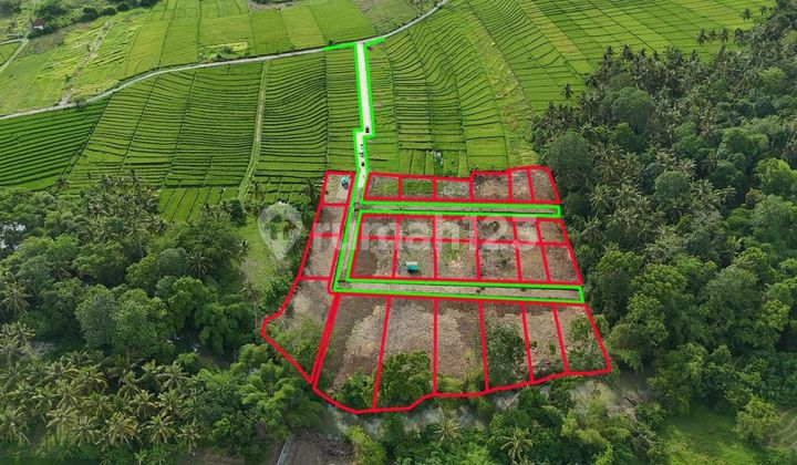 Tanah Kavling Kawasan Villa Babat Bali Area Tabanan