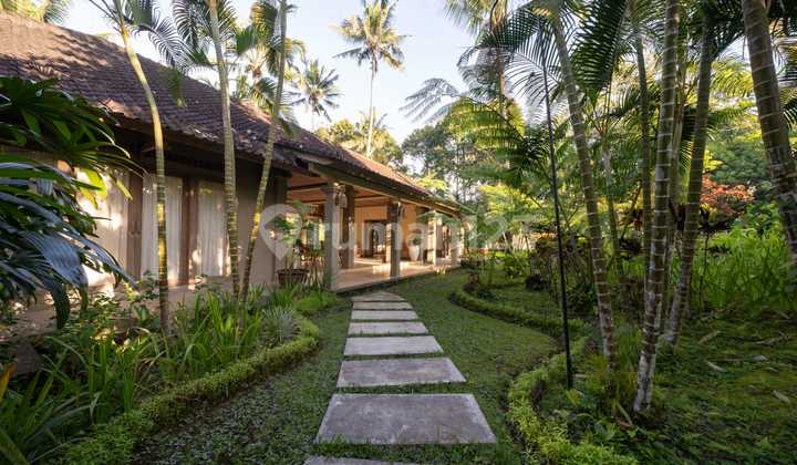 Big Deal Ubud - Beli Tanah + Villa Gratis! Big Deal Ubud - Beli Tanah + Villa Gratis!