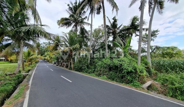 Tanah Lokasi Saba Deket Ke Pantai Cuman 10 Menit 