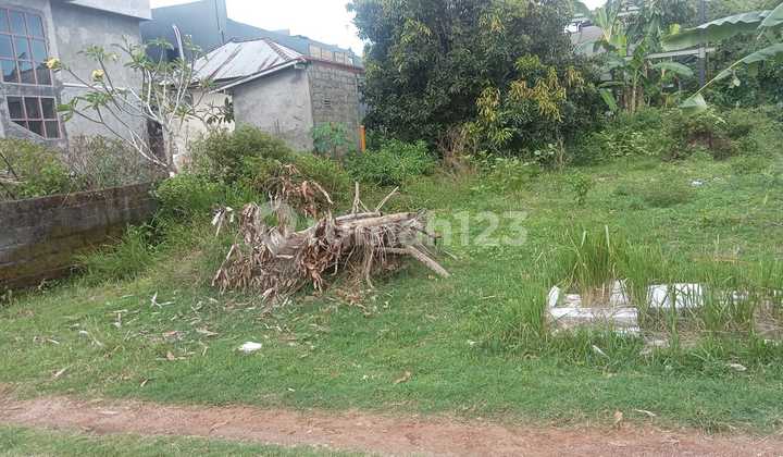 Tanah Murah Lokasi D Jlan Gubuk Sari Kutuh Badung Bali 