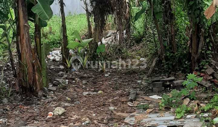Tanah Murah !! Lokasi Cekomaria Denpasar Utara Tanah Murah !! Lokasi Cekomaria Denpasar Utara