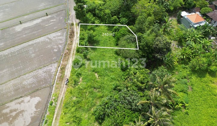 Tanah Kavlingan Vila Dekat Pantai Kedunggu Tanah Lot Tabanan Bali Tanah Kavlingan Vila Dekat Pantai Kedunggu Tanah Lot Tabanan Bali