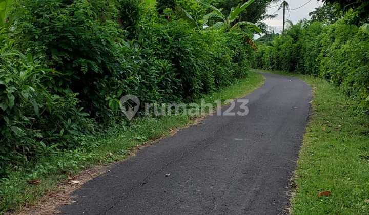 Tanah Strategis Jalan Pantai Mejan Tabanan
