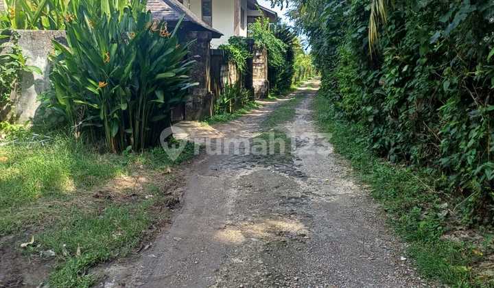 Sebidang Tanah Murah Lokasi Area Tabanan 