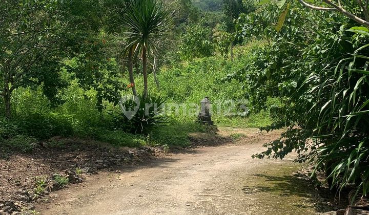 Sebidang Tanah Lokasi Nusa Penida Klungkung Sebidang Tanah Lokasi Nusa Penida Klungkung