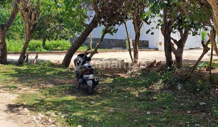 Sebidang Tanah Murah Lokasi Gang Kunyit Pecatu Sebidang Tanah Murah Lokasi Gang Kunyit Pecatu