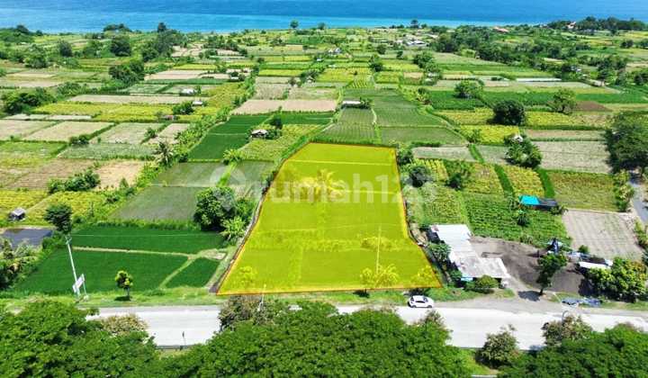 Tanah Premium dan Strategis Pinggir Jalan Bypass Ida Bagus Mantr Tanah Premium dan Strategis Pinggir Jalan Bypass Ida Bagus Mantr