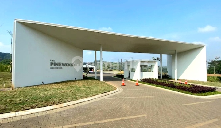 Pinewood Residence stands majestically on green highlands and gentle hills. 1