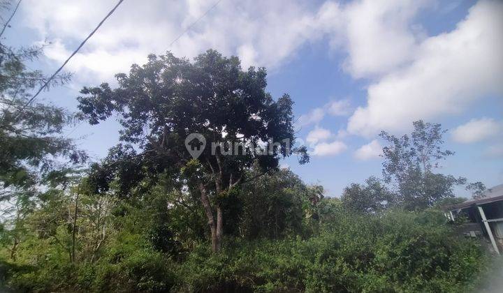 Land for rent in Nusa Dua Bali, Badung 12,000 m² for 25 years 2