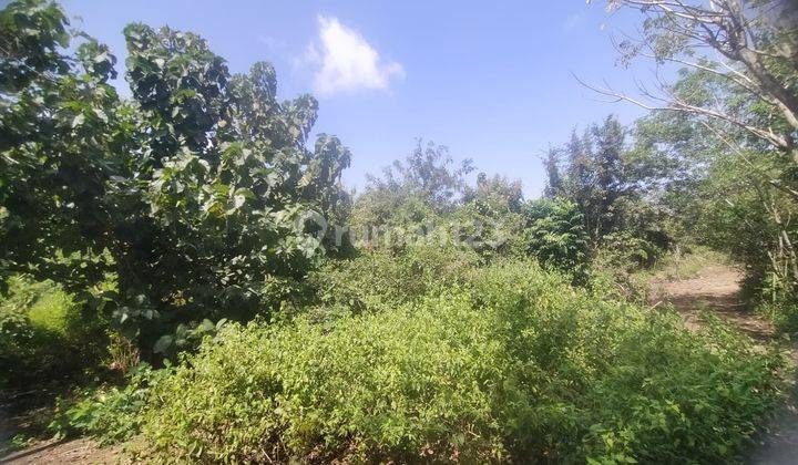 Land for rent in Pecatu Bali 28,000 m² 20 years 2