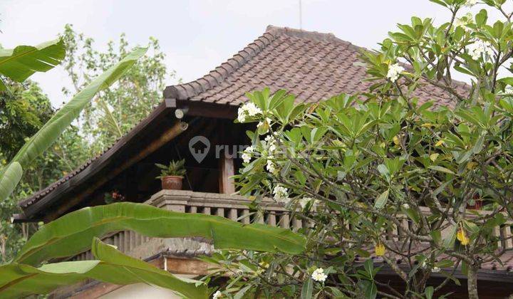 For Sale Villa In Batu Bolong, Canggu 1